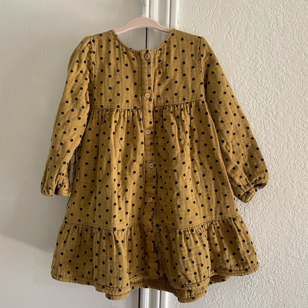 Zara Polka Dot Long Sleeve 4T dress